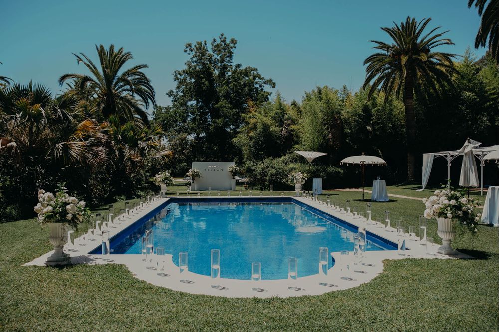 A beautiful swimming pool surrounded by palm trees and lounge chairs in a sunny garden setting.
