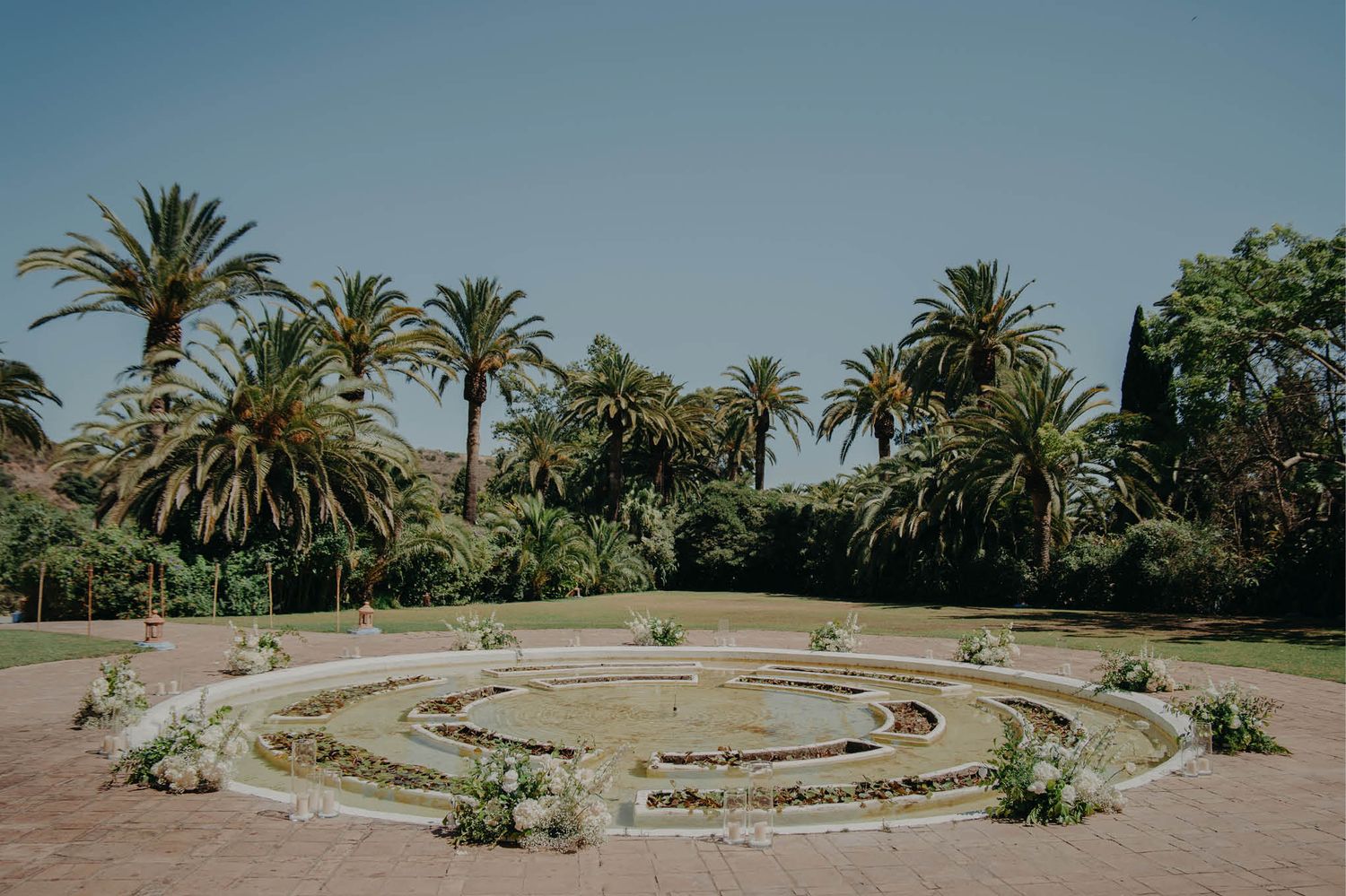 A circular garden feature with palm trees and decorative plantings in a tropical landscape.