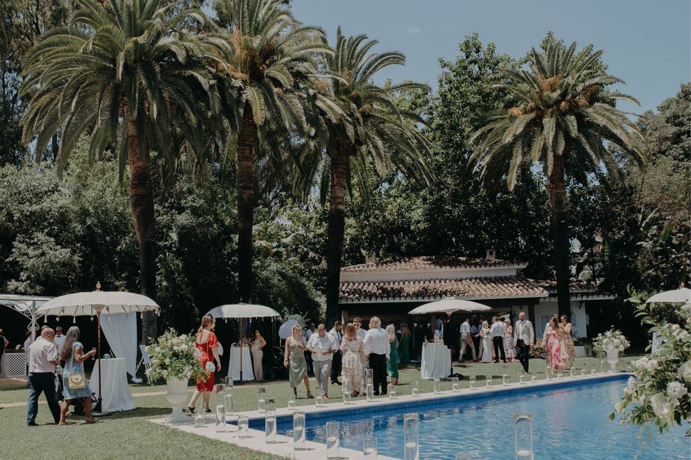Wedding guests mingle around a poolside reception area shaded by tall palm trees.