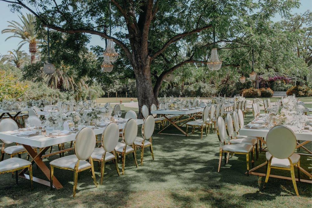 Elegant outdoor wedding reception setup with white chairs and long tables arranged under tall trees.