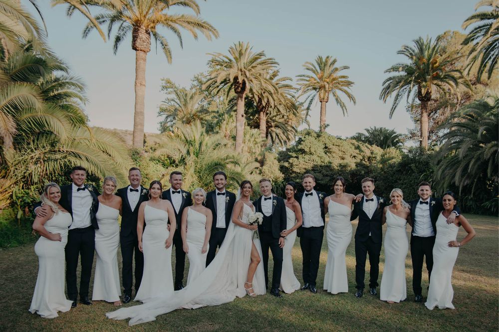 Formal wedding party in black and white attire posed among palm trees.
