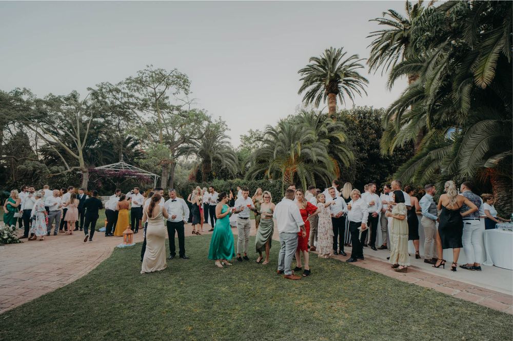 Wedding guests gather on a palm-lined lawn during an outdoor evening reception.