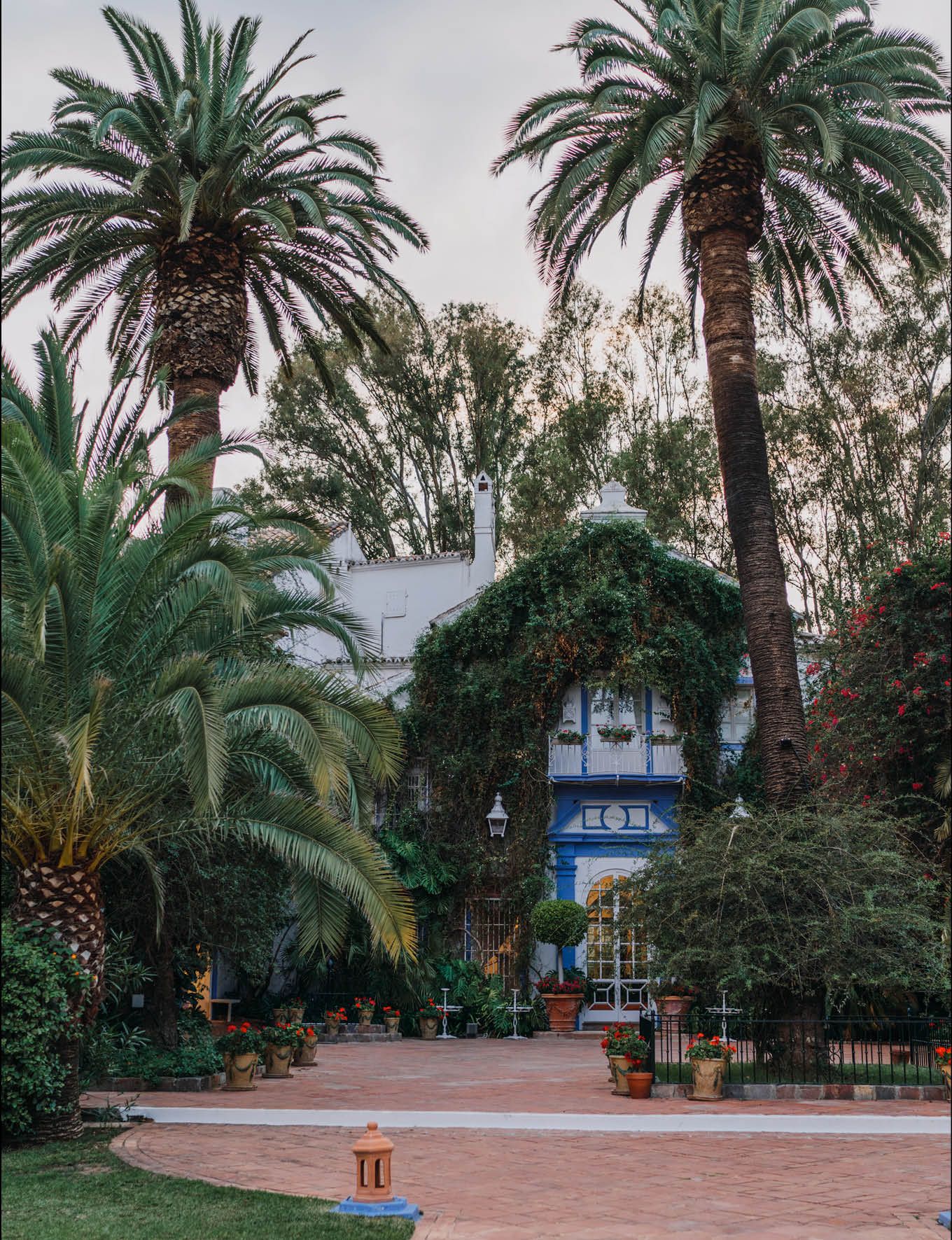 Palm tree-lined walkway leading to a Mediterranean-style building with blue accents.
