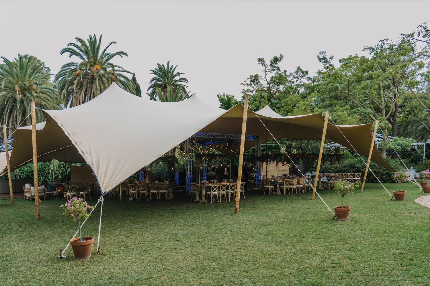 Elegant cream-colored stretch tent set up on a lawn with palm trees in the background.
