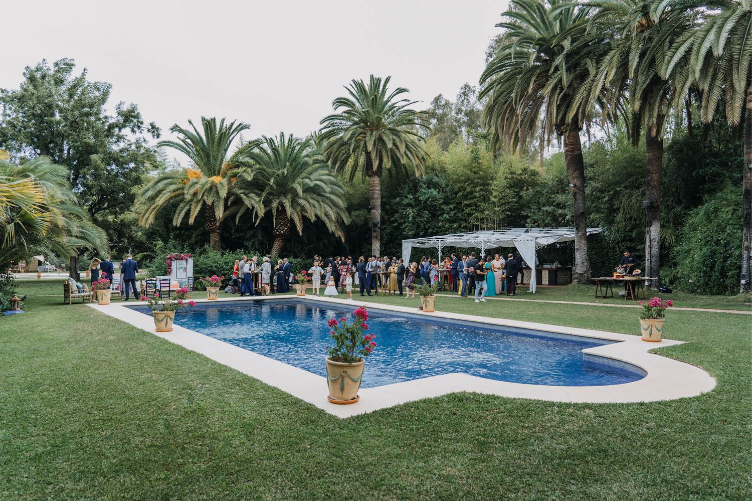 Curved swimming pool surrounded by palm trees and manicured lawn at an outdoor event venue.