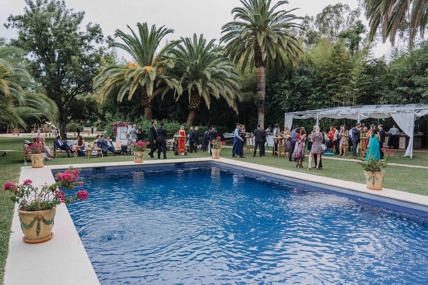 Outdoor party scene with guests mingling around a swimming pool surrounded by palm trees.