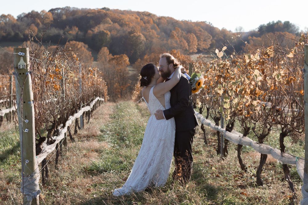 Panoramic view of wedding ceremony in fall vineyard with golden light.
