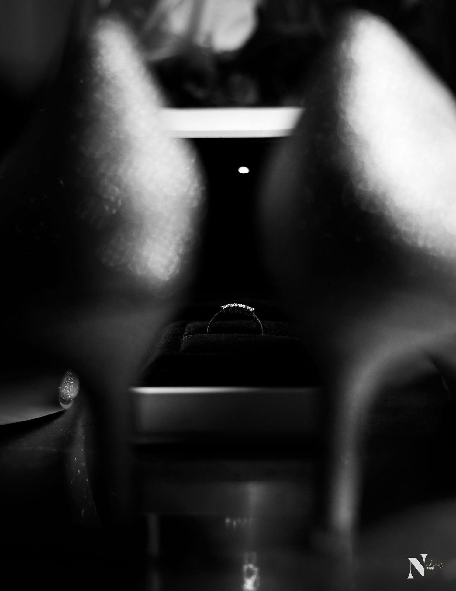 An artistic black and white photograph with dramatic lighting and blurred foreground elements.