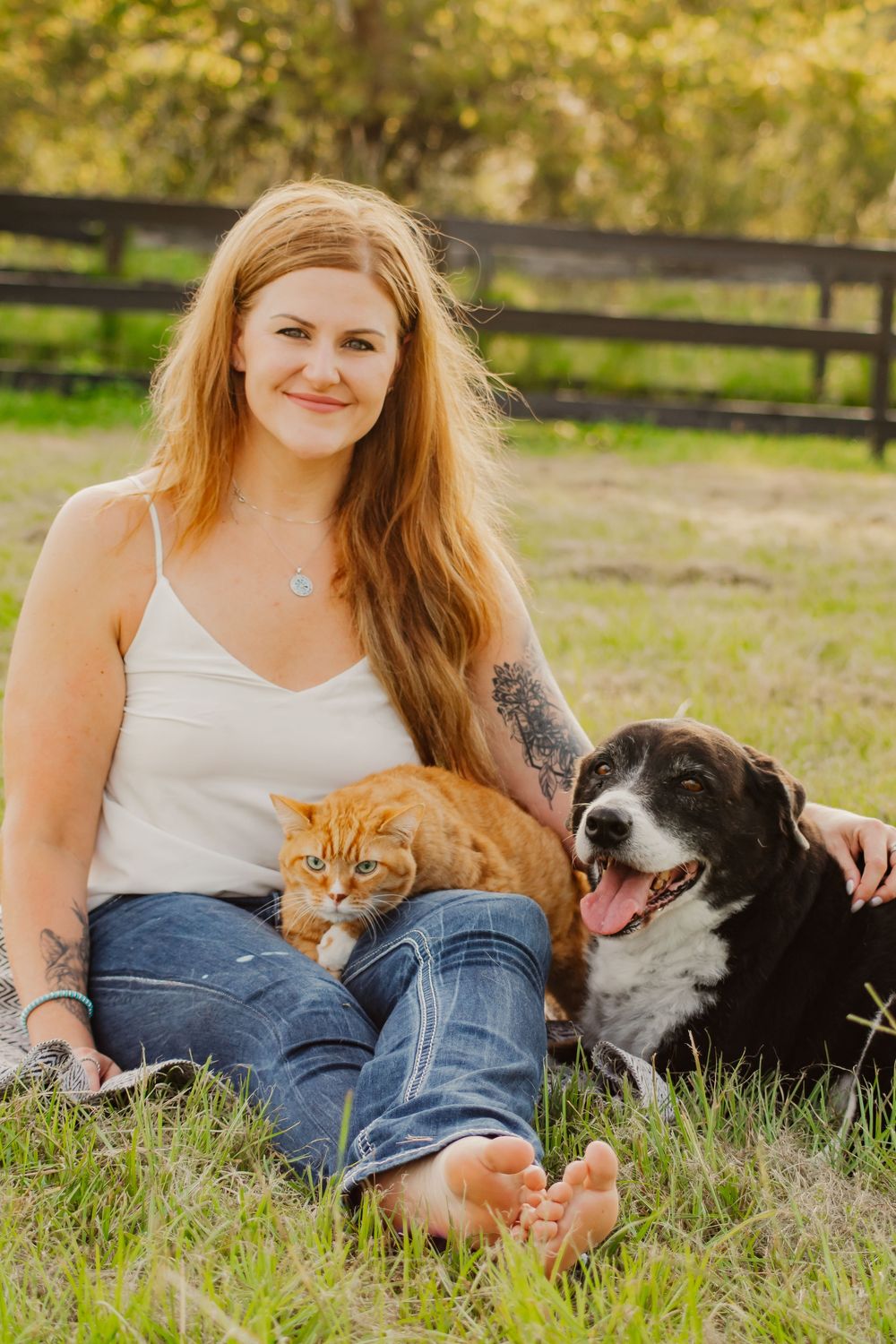 A person relaxes in a grassy field with their orange cat and black and white dog on a sunny day.