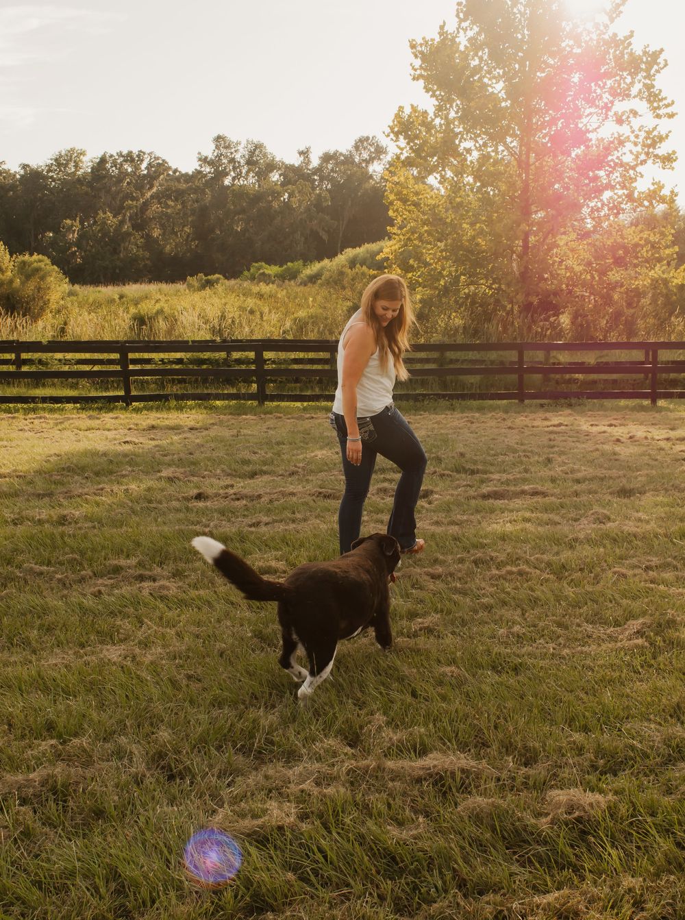 A person and a black and white border collie play together in a sunlit grassy field during golden hour.