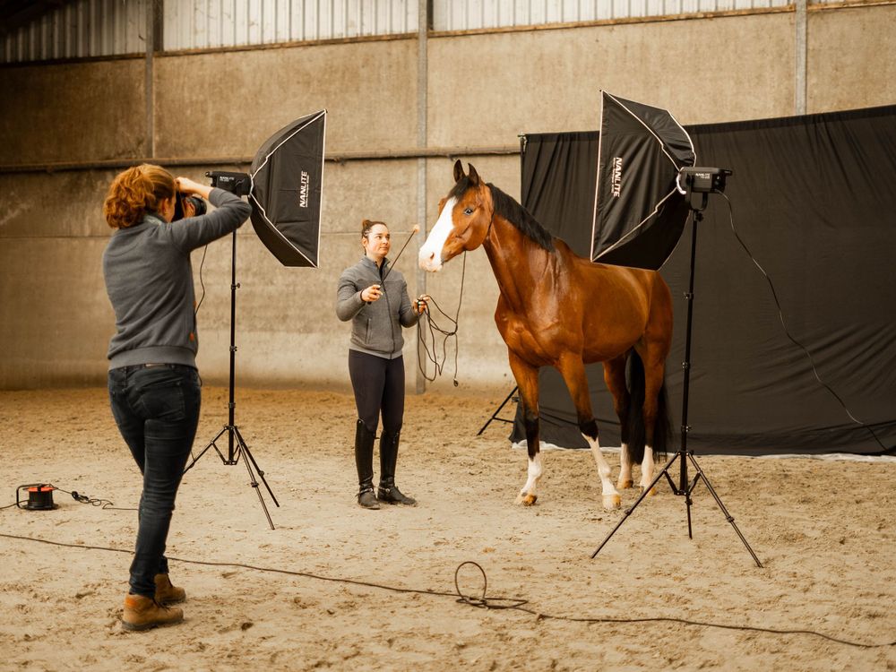 Behind-the-scenes photo of horse photography session with lighting equipment in indoor arena.