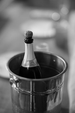 Champagne bottle chilling in a silver ice bucket, captured in elegant black and white photography.