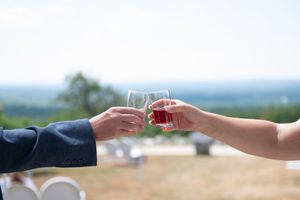 Bride and groom clink glasses of wine outdoors with a scenic landscape visible in the background.