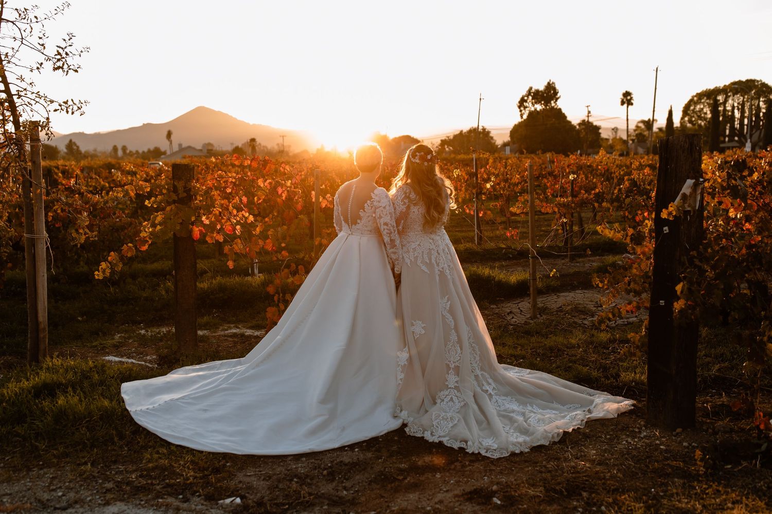 LGBTQ Wedding at Winery
