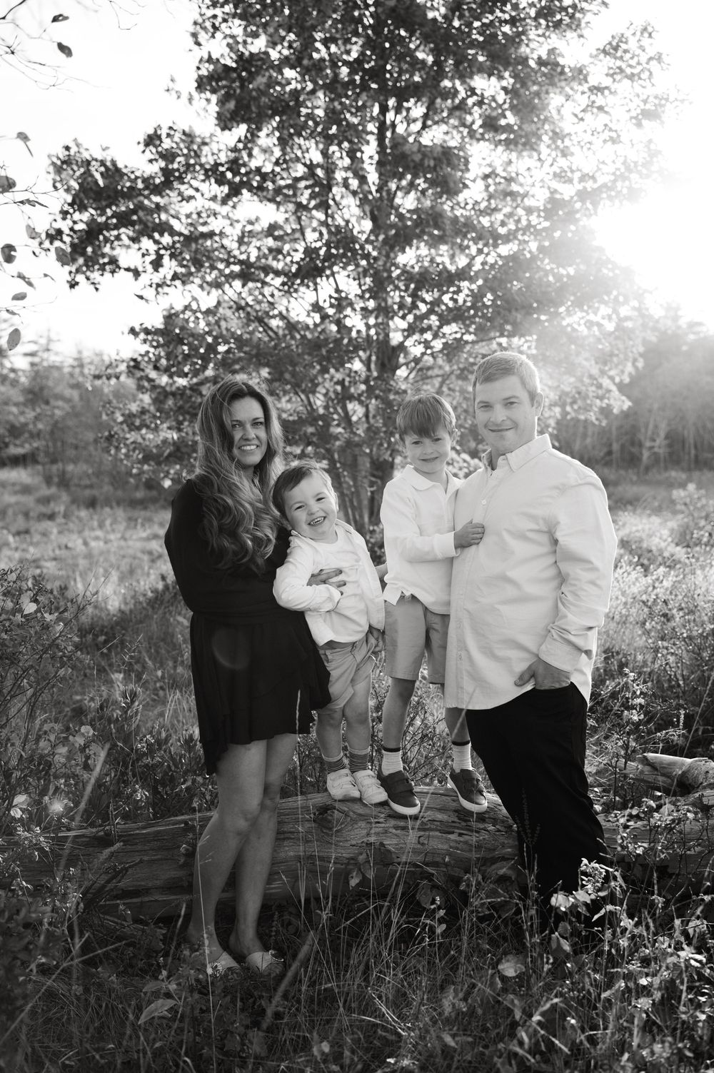 A playful family photoshoot in a sunlit field with tall grass and natural outdoor setting.
