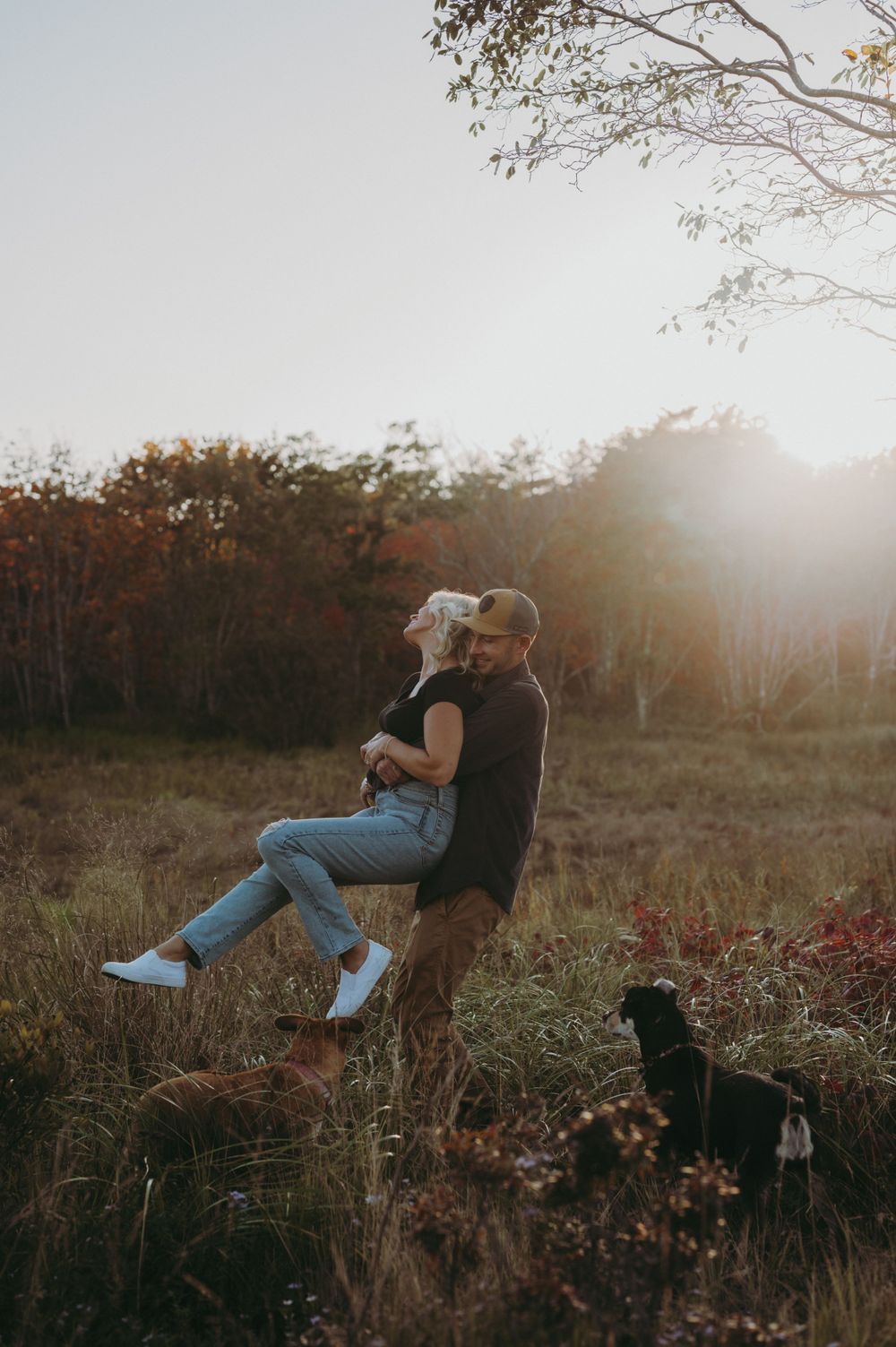 A couple shares an intimate moment in a sunlit field with their dog nearby.