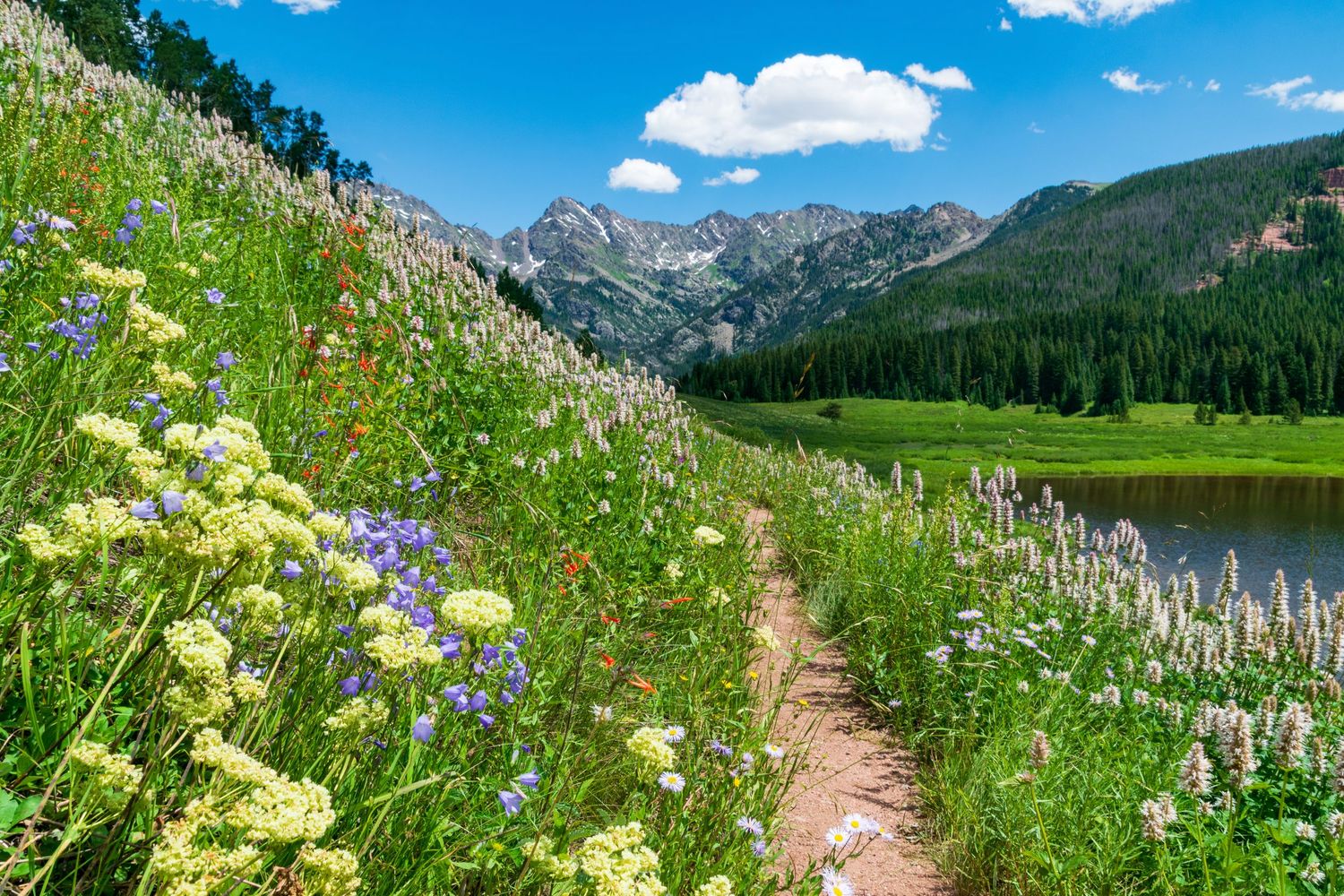 Piney River Ranch trail photo by Denver Drone, Hospitality, Travel & Tourism photographer Captain Colorado Photography.