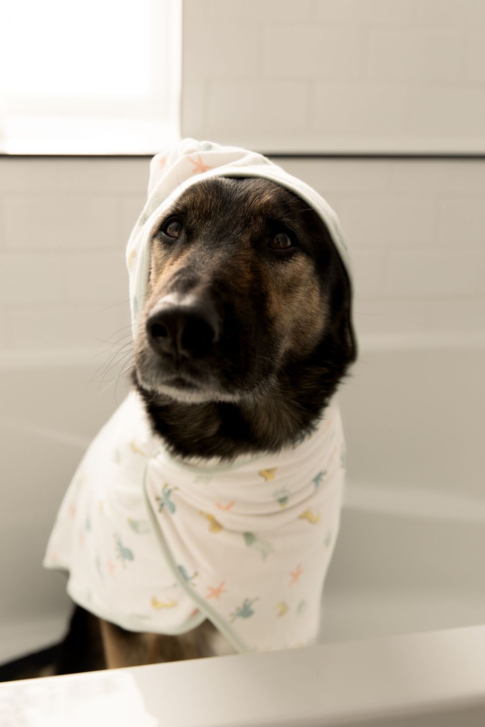 A black dog wearing a light-colored bandana with delicate patterns is photographed from different angles.