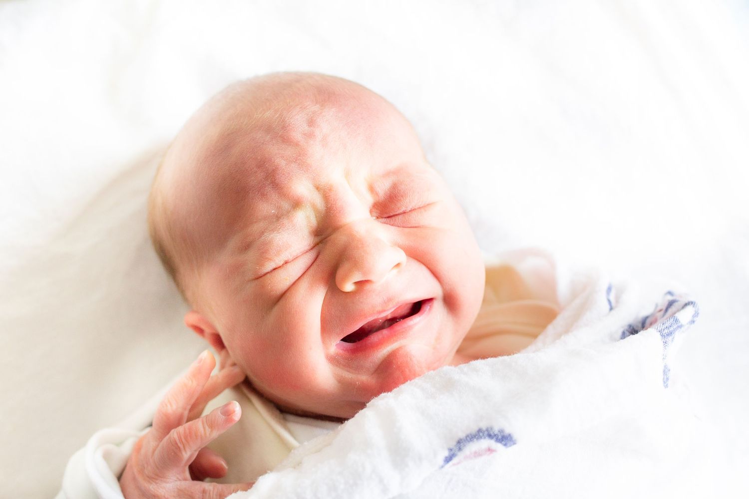Bethesda north newborn photos