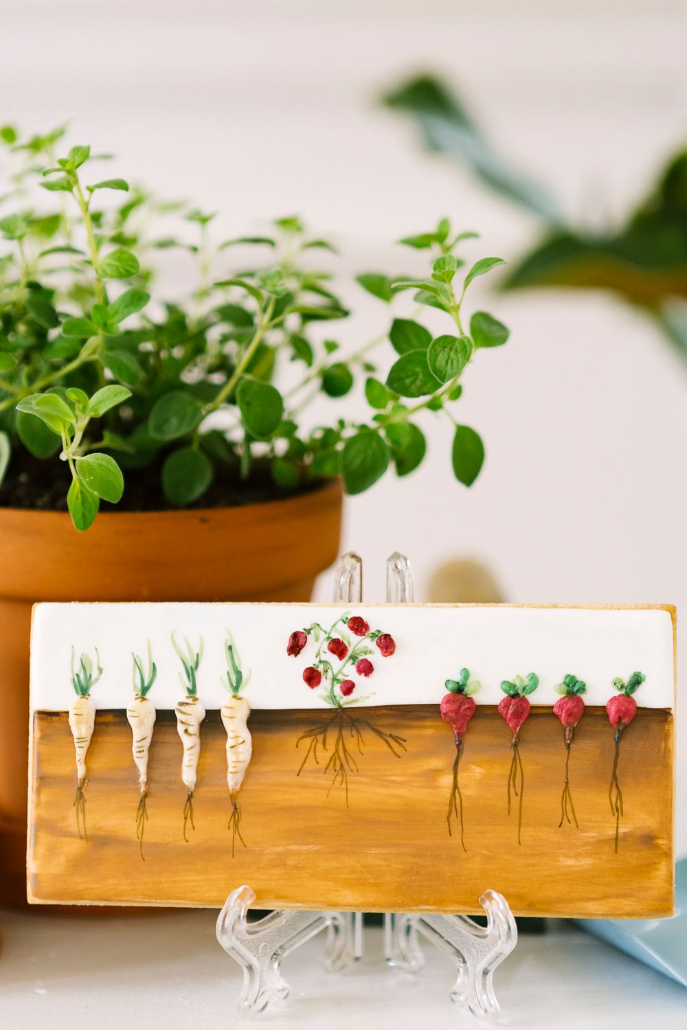 Cookie decorated with veggies in ground and roots, by NYC family photographer Paula Ortiz