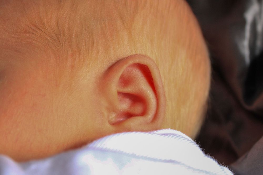 Close-up photograph of a newborn baby's ear showcasing tiny details and features.