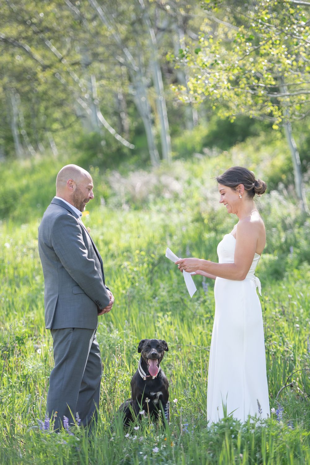 Bride reads vows to groom with black Labrador dog in lush green meadow during outdoor wedding ceremony.