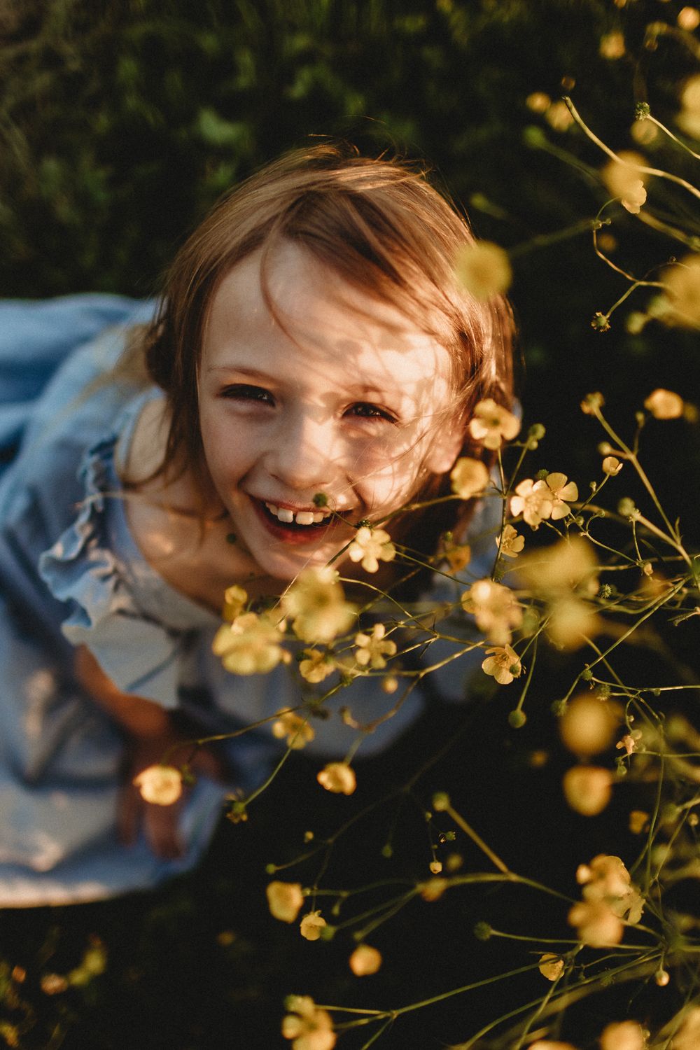 Close-up sequence of someone peeking through yellow wildflowers in golden sunlight.