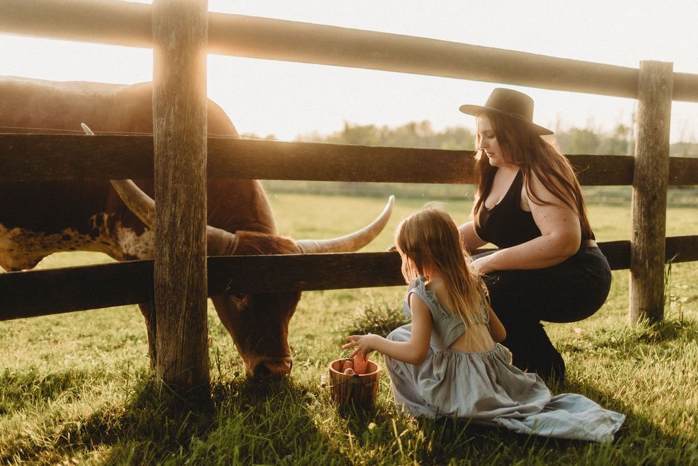 Series of photos showing people lying and relaxing by a wooden fence at sunset.
