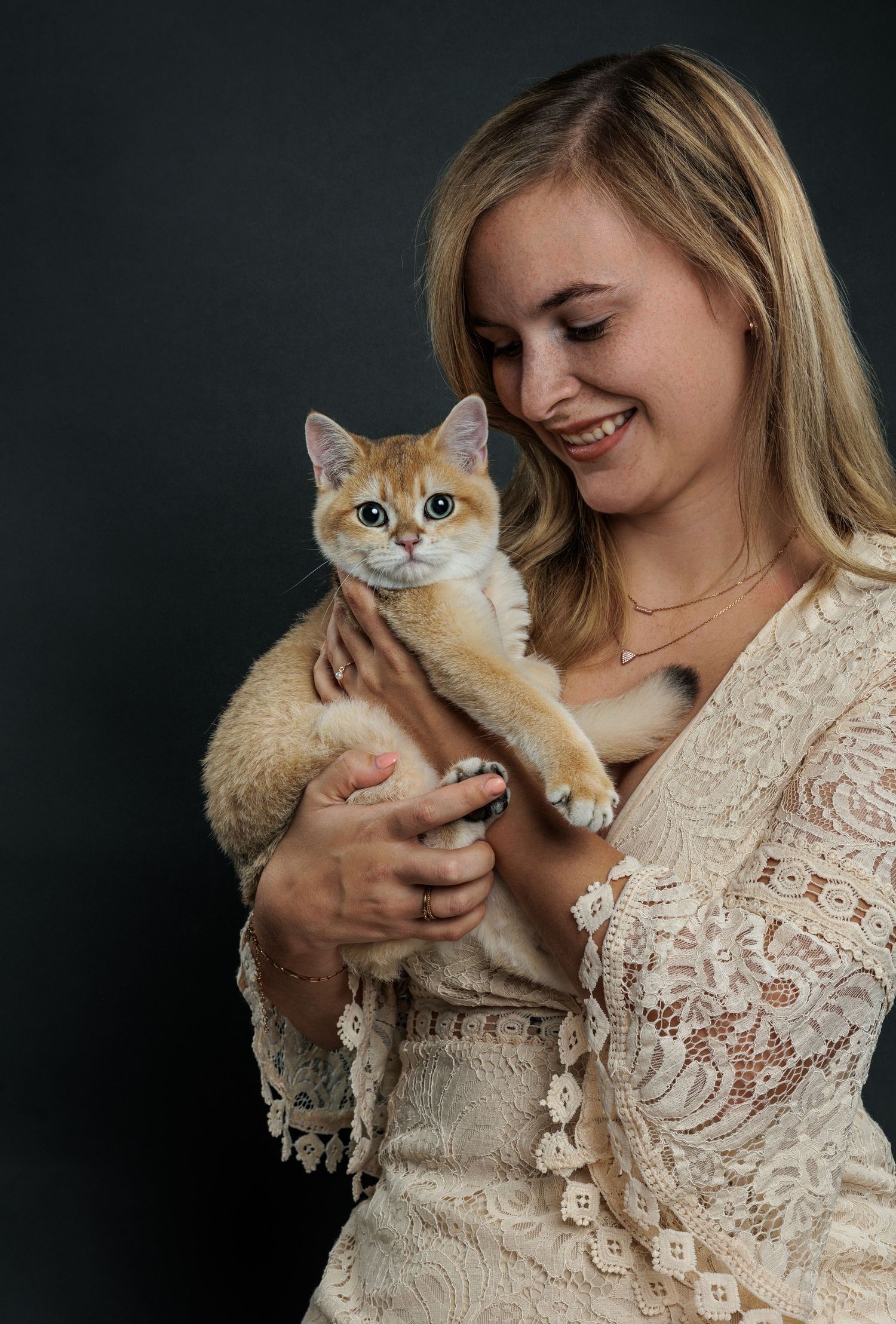 Orange and white cat being held against dark studio background.