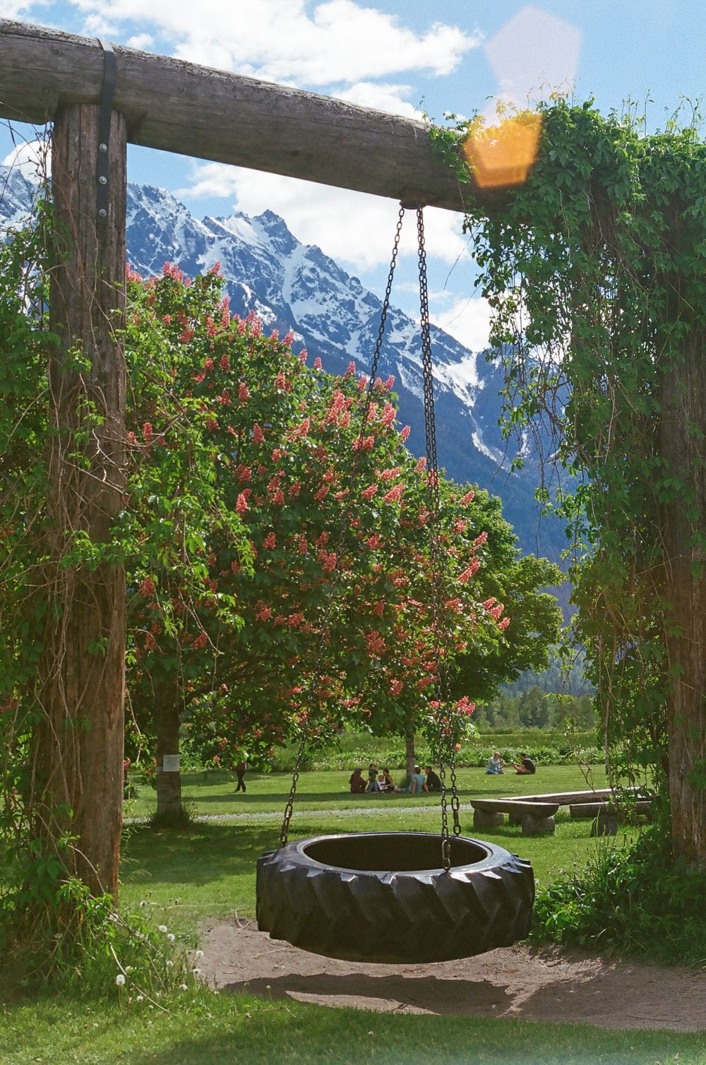 Mountain landscape with tire swings and blooming pink flowers in a lush garden setting.