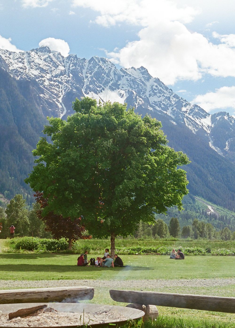 Scenic mountain vista with large shade trees and wooden benches in a grassy meadow.