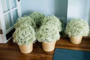 Wilmington Wedding florist design