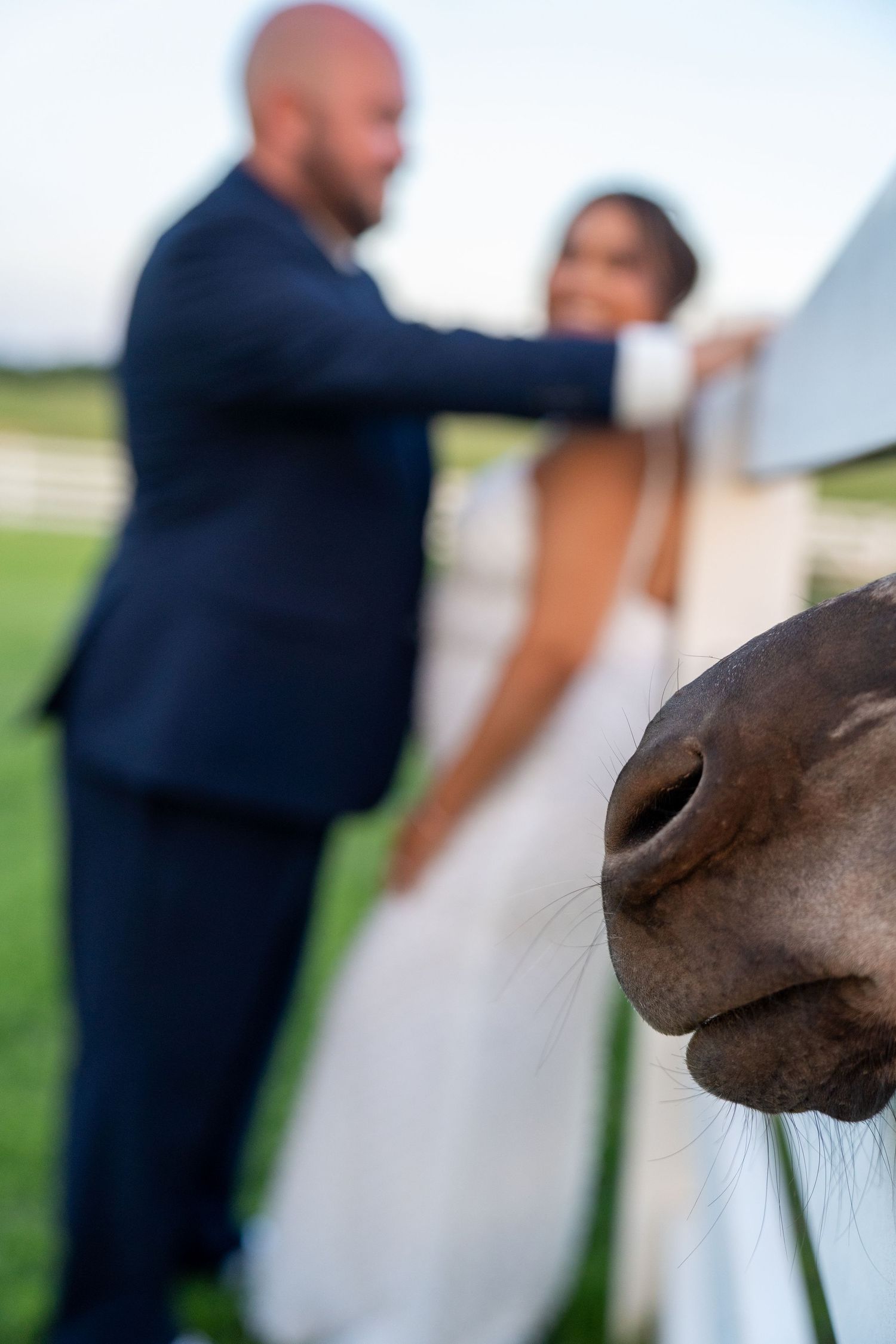 A horse photobombs a wedding couple posing near a white fence on a farm, bride in white gown and groom in navy suit.