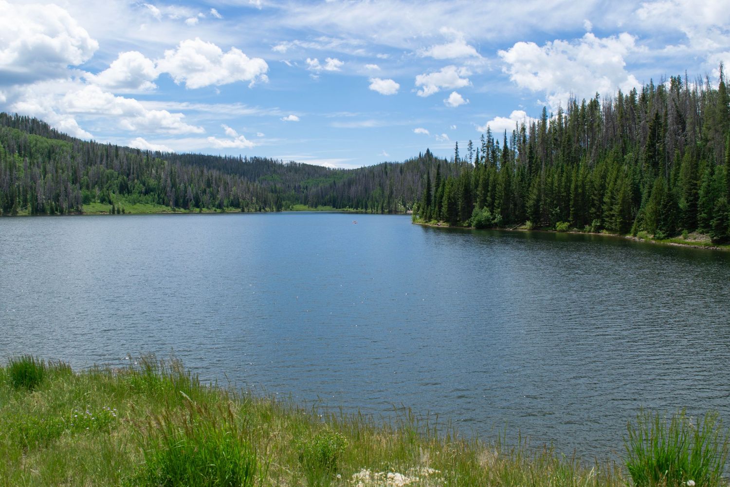 Serene mountain lake surrounded by evergreen forest under blue summer sky.