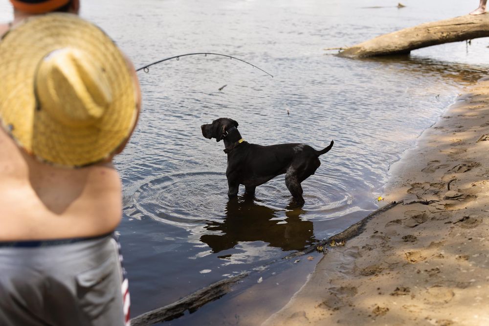 man with straw hat fishing off sandy beach with dog in focus watching for fish