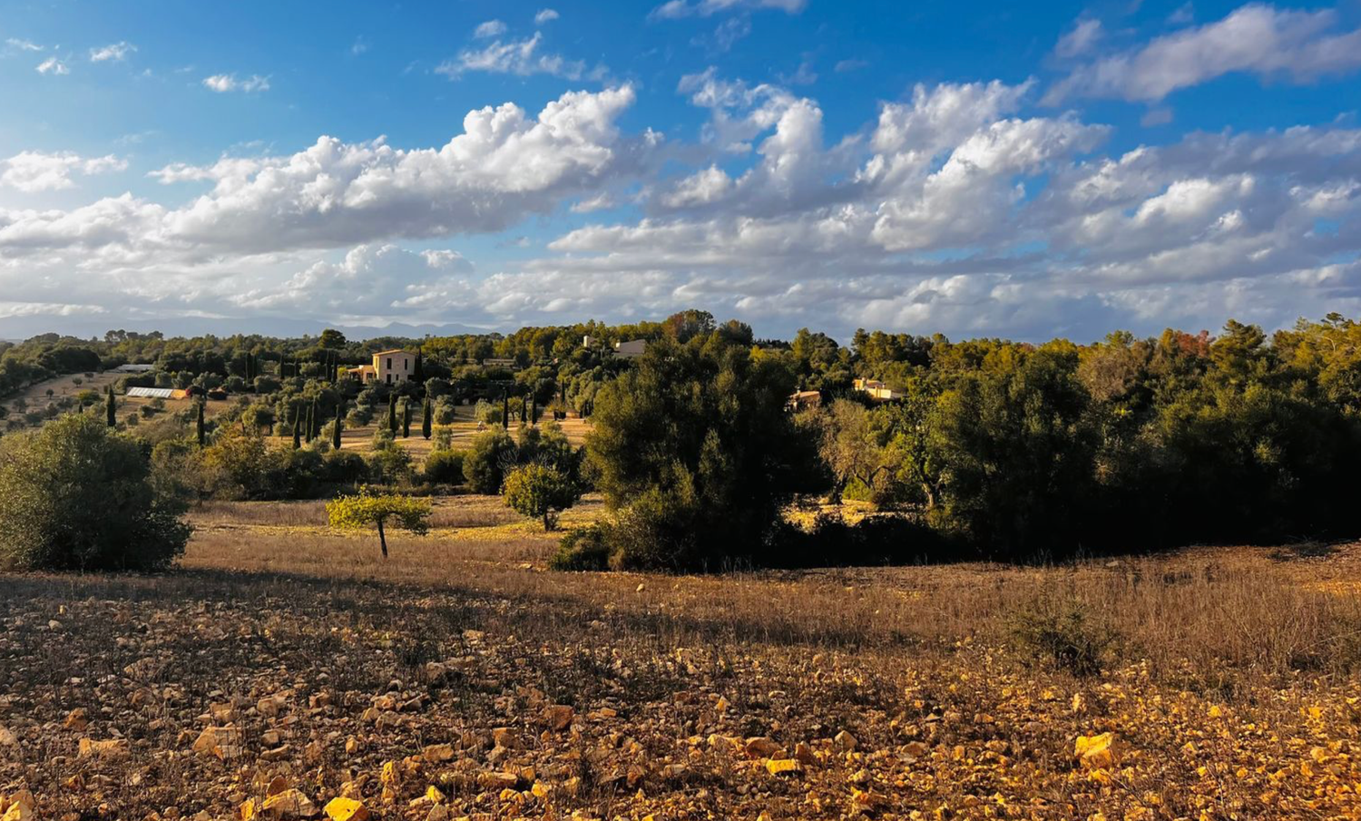 Arid desert landscape with plowed fields and distant mountains under bright blue skies in Mallorca.