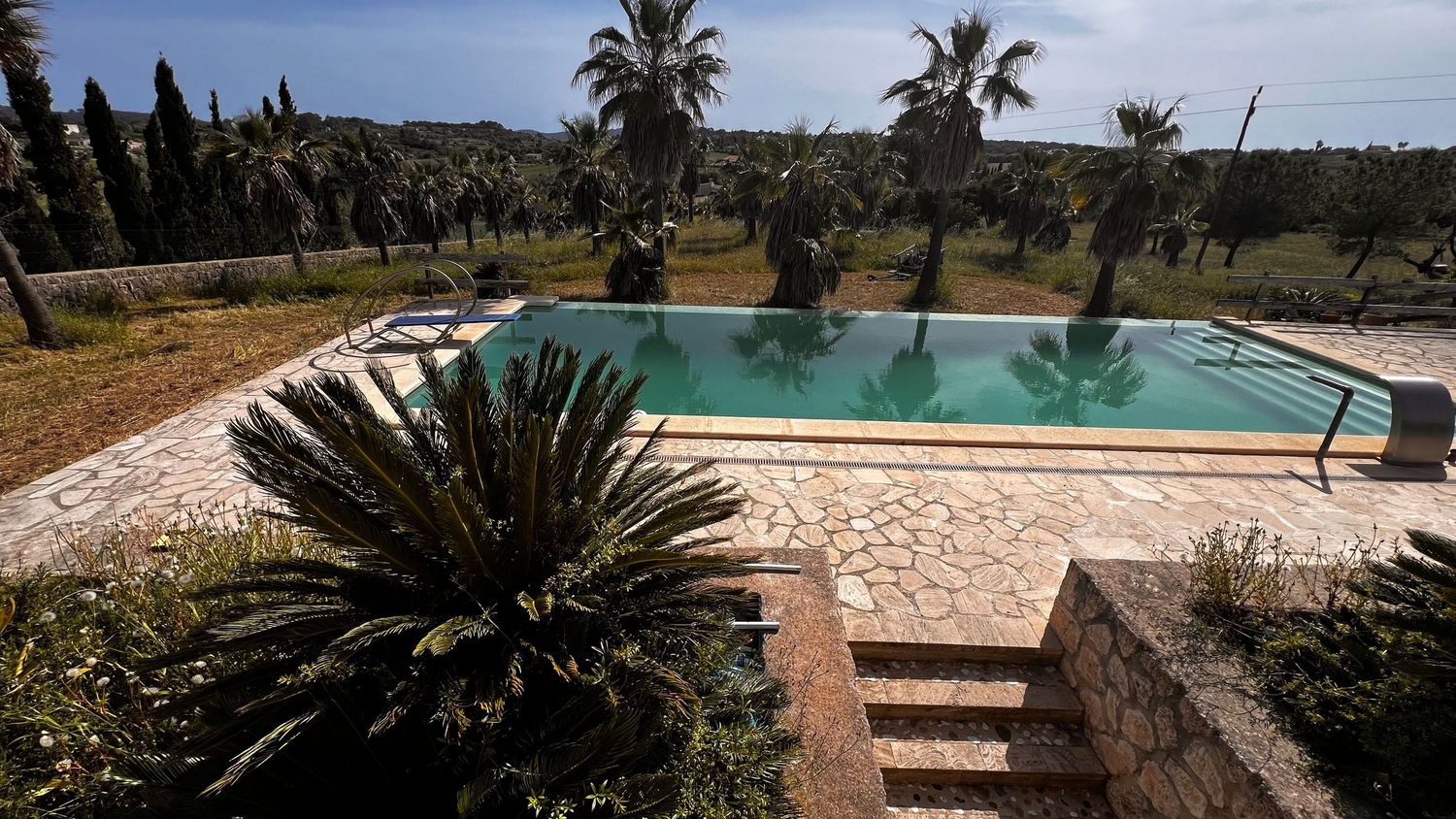 Outdoor swimming pool surrounded by palm trees and stone patio at a Mediterranean villa property.