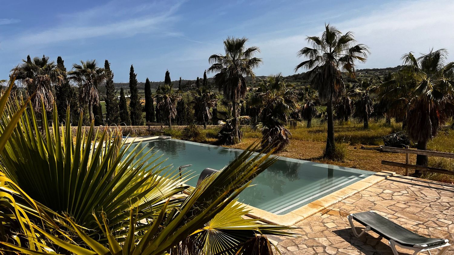 Outdoor swimming pool surrounded by tall palm trees and lush greenery under a bright blue sky in a Mediterranean setting.