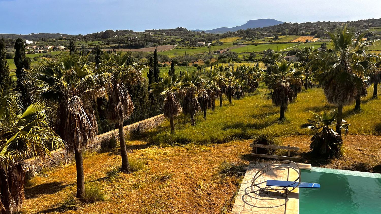 Lush palm tree garden with a swimming pool in the foreground and rolling green hills under a clear blue sky.