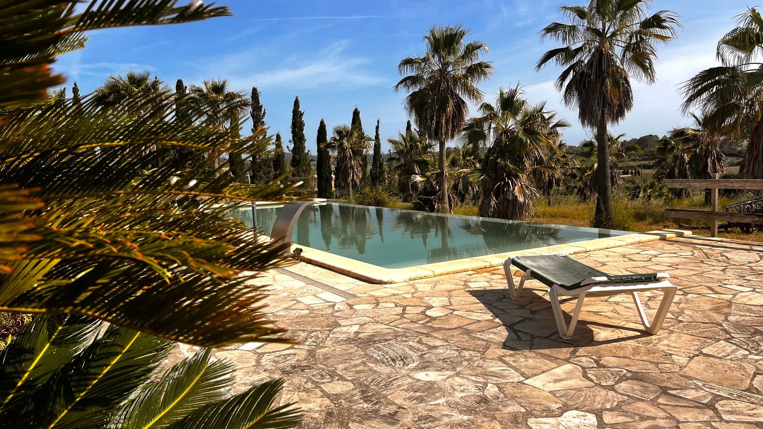 Luxury outdoor pool surrounded by palm trees and lush greenery with a sun lounger on a stone patio.