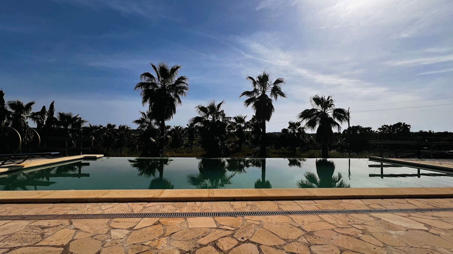 Serene infinity pool surrounded by tall palm trees reflecting in calm water under a bright blue sky.