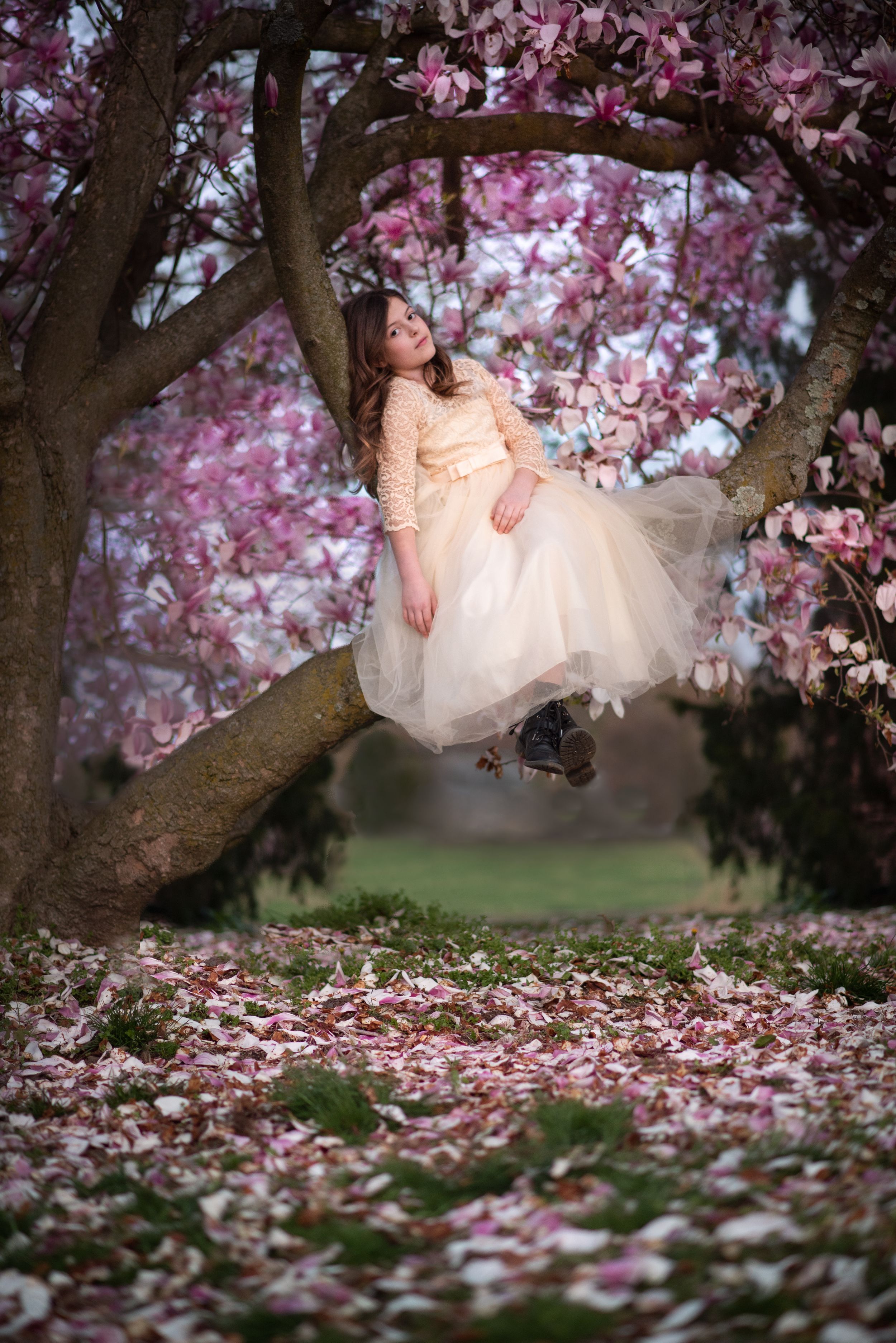 A dreamy portrait of a child in a flowering magnolia tree with pink blossoms and scattered petals. Middletown NJ