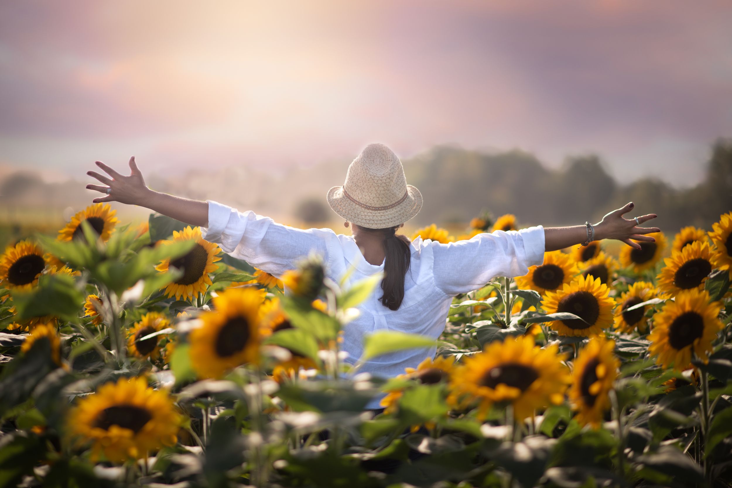 A person wearing straw hat in white shirt spreads their arms wide in a vibrant field of blooming sunflowers in Holland Ridge Farms NJ