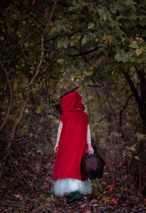 A halloween portrait of figure in a red hooded cape carries a basket through dark woods. Middletown NJ