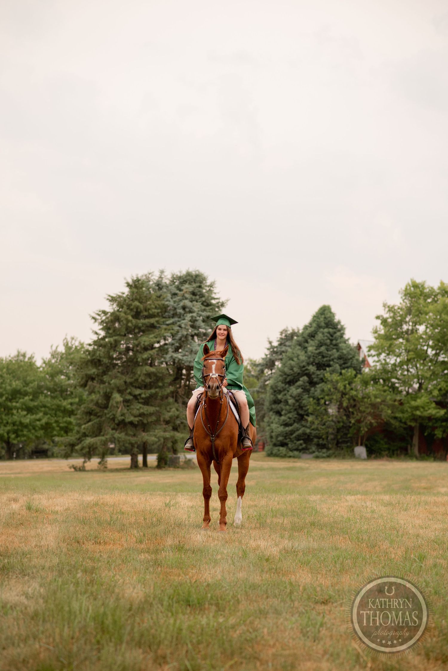 A chestnut horse and rider in an open field with trees in the background.