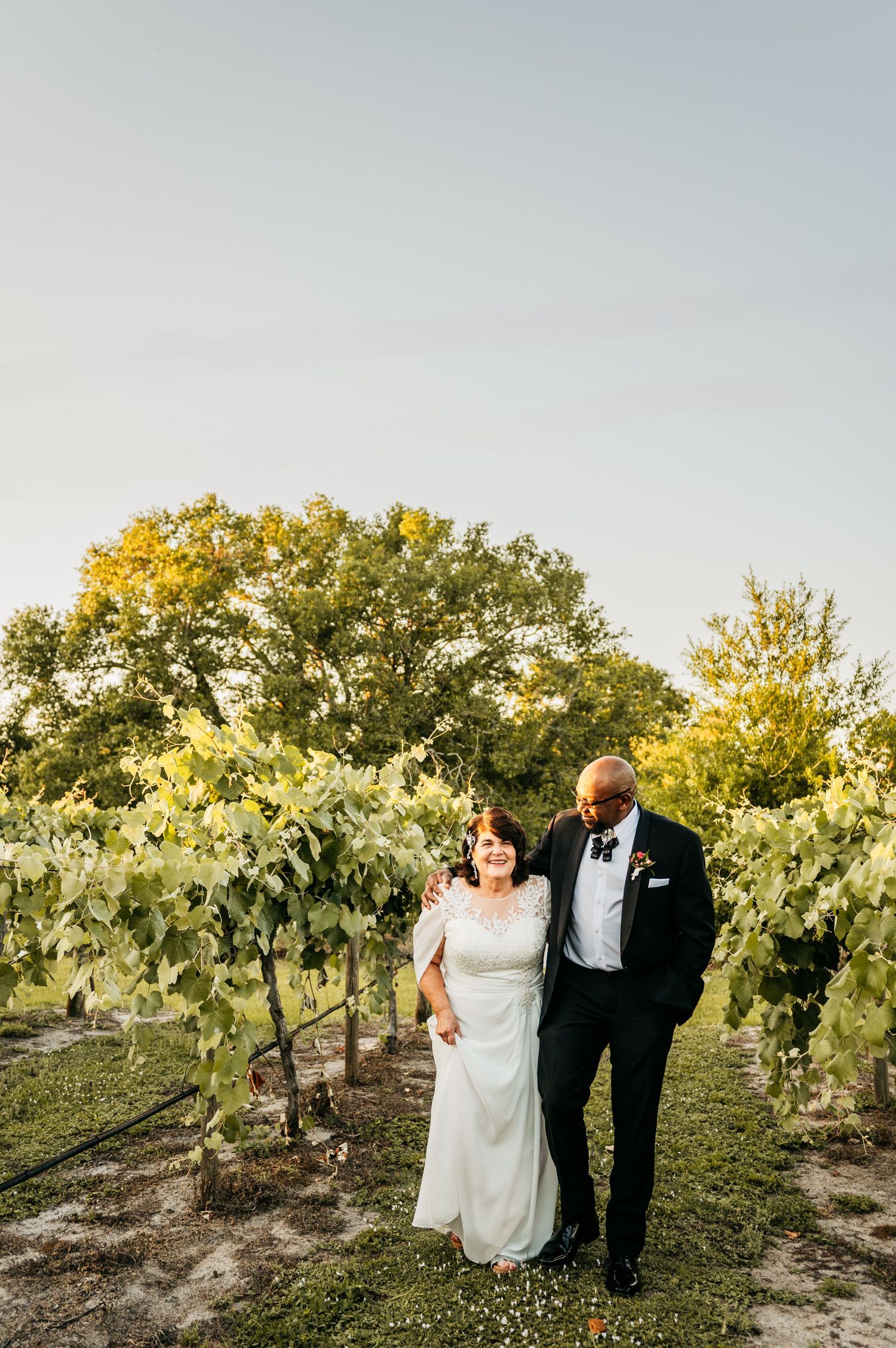 A wedding couple poses together in a lush vineyard during golden hour.