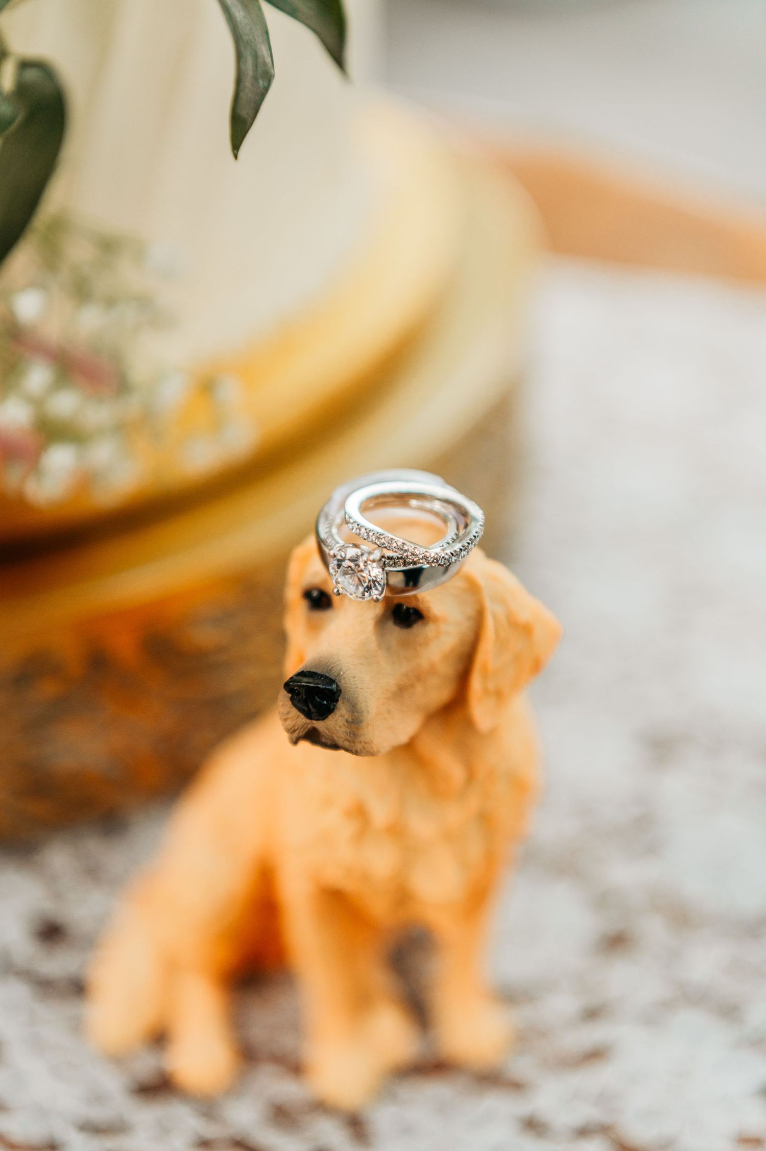 A golden retriever figurine balancing a diamond engagement ring on its head.