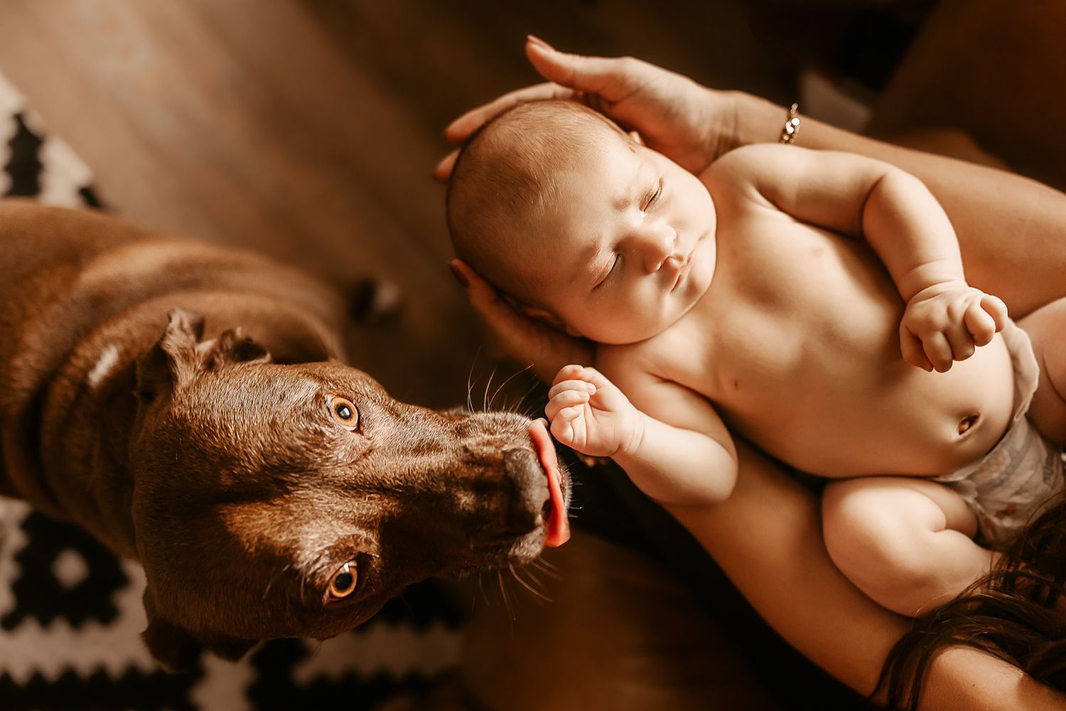 Oahu Newborn Photographer