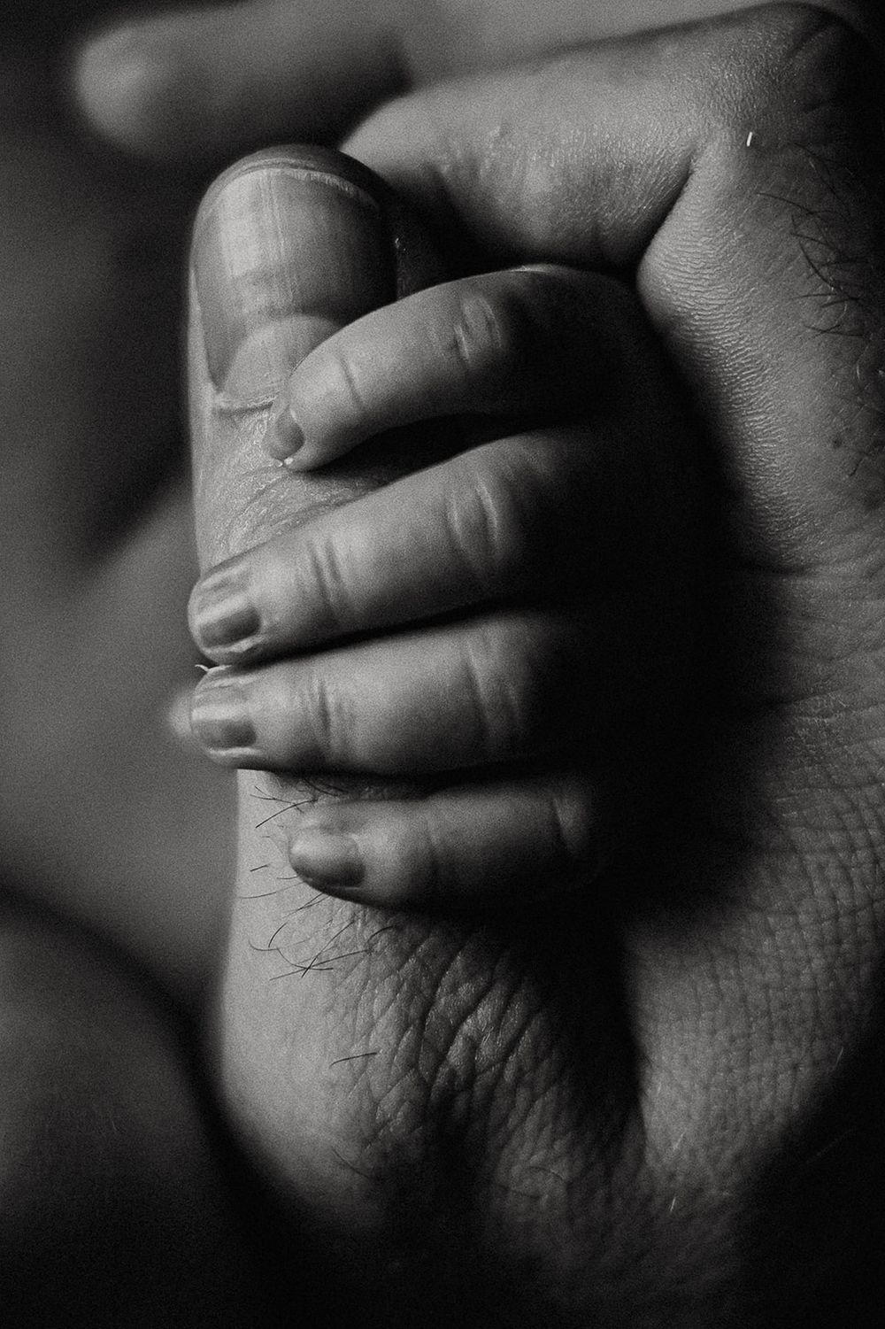 Oahu Newborn Photographer