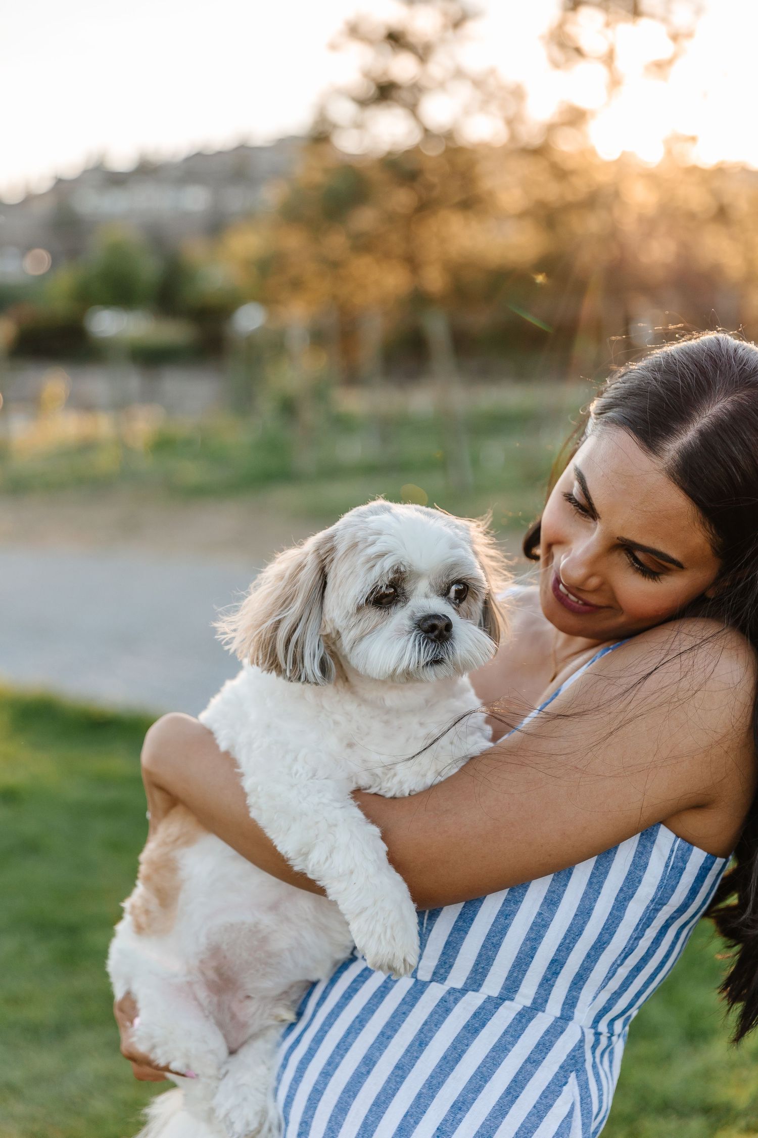 A small white dog cuddles with someone in a blue striped outfit on a sunny day during family photoshoot at quails gate in west kelowna